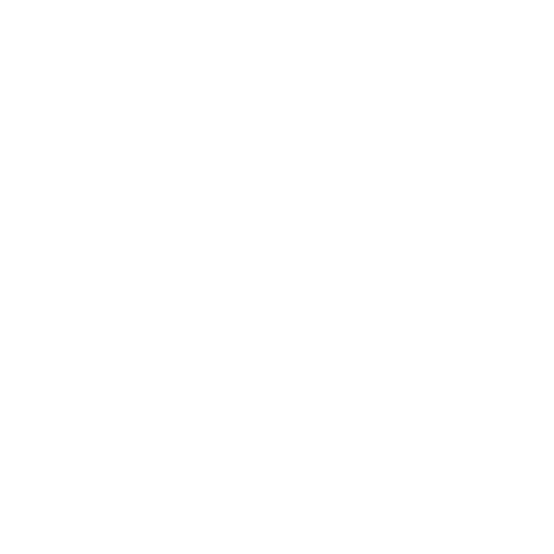 Make In India Official Lion